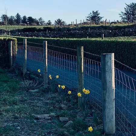 Atlantic Bay * Culdaff