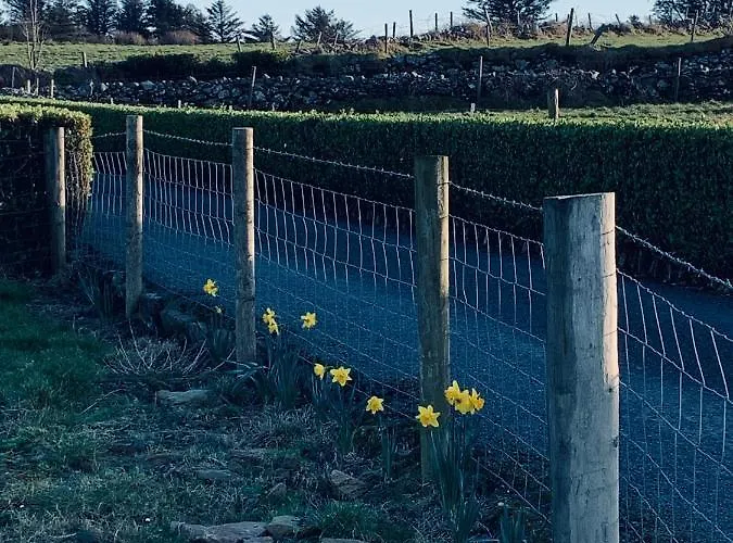 Atlantic Bay * カルダフ